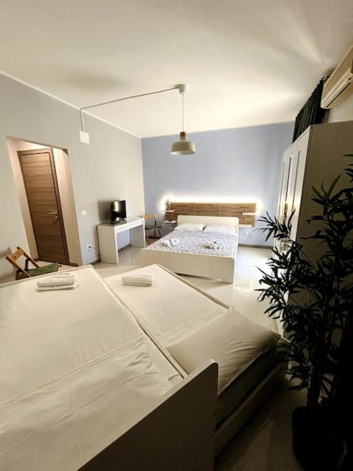Zecchino Syracuse